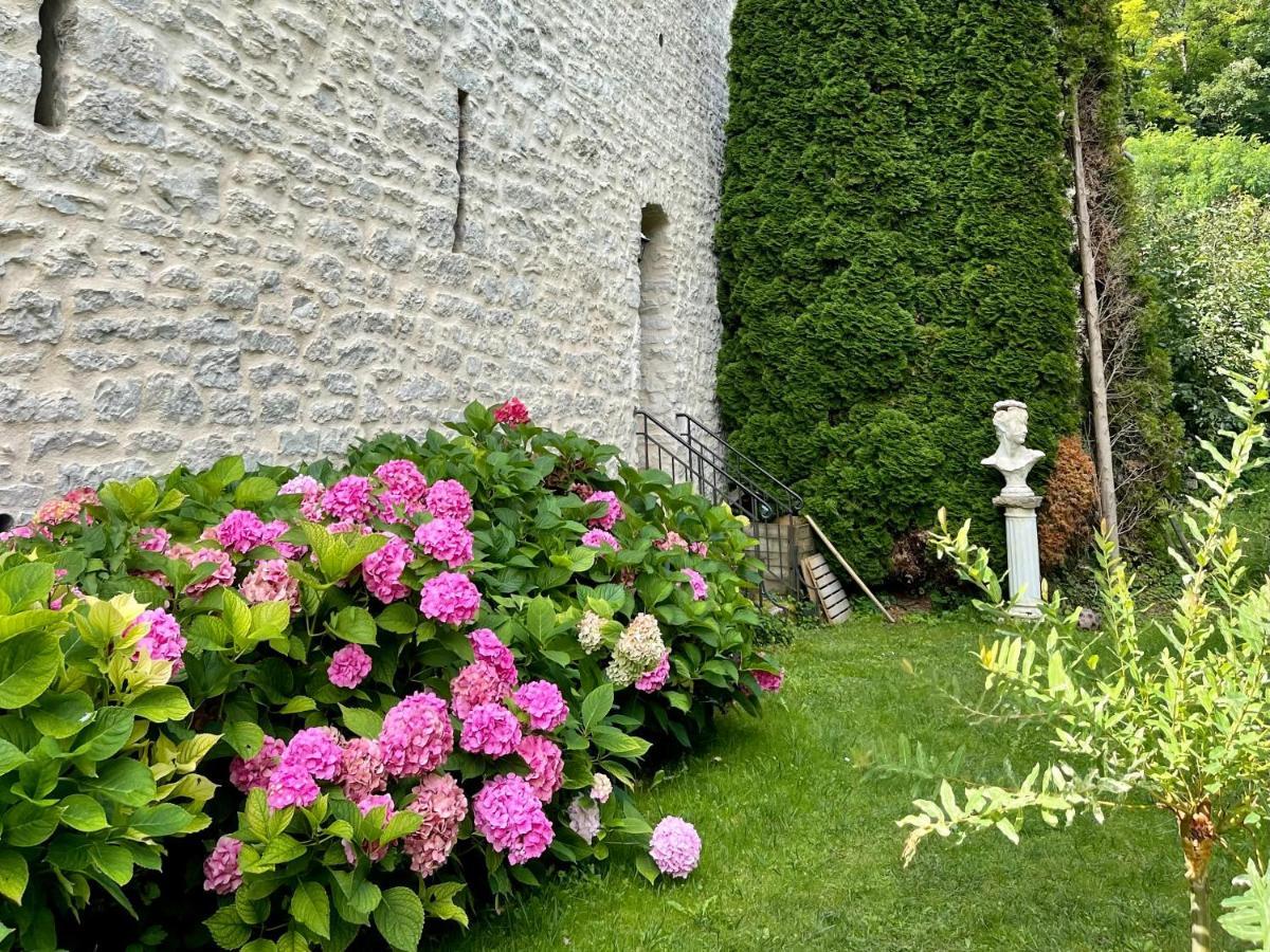 Manoir Saint-Pierre Bed and Breakfast Villersexel Eksteriør billede
