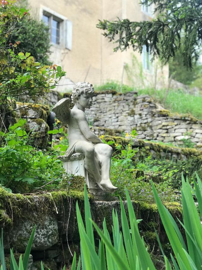 Manoir Saint-Pierre Bed and Breakfast Villersexel Eksteriør billede